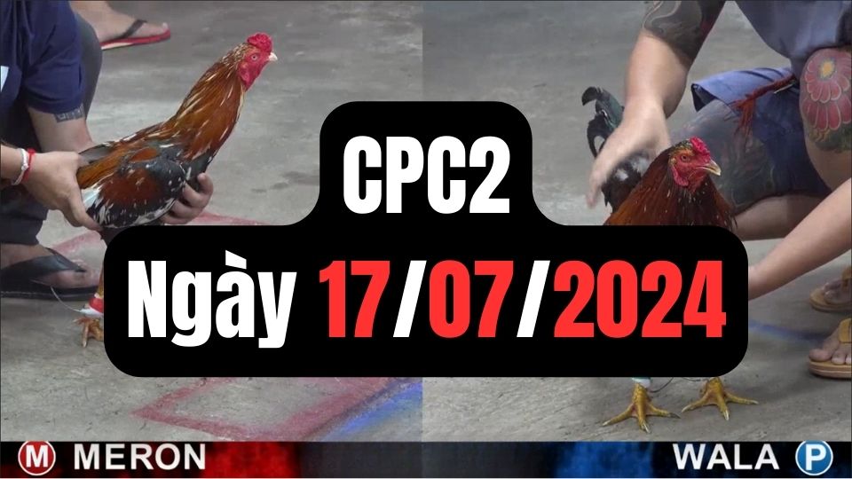 Video đá gà thomo CPC2 ngày 17/07/2024