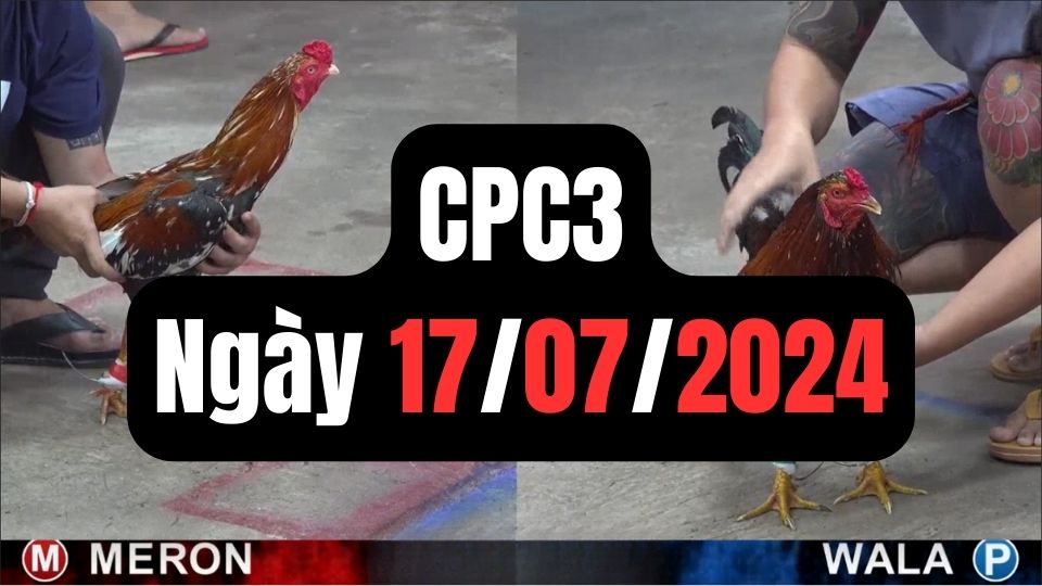 Video đá gà thomo CPC3 ngày 17/07/2024