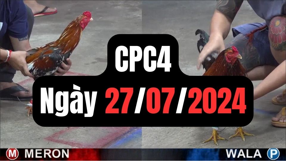 Video đá gà thomo CPC4 ngày 27/07/2024